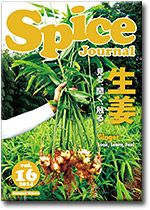 Spice Journal vol.16